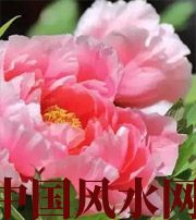 迪庆预示你财运上升，姻缘可成的梦境，快来看看吧！