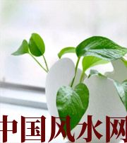 迪庆家中摆放六种吉祥物，会打开您的财运大门！