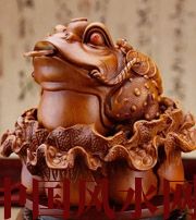 迪庆解读金蟾最合适的位置，这样摆放更招财！