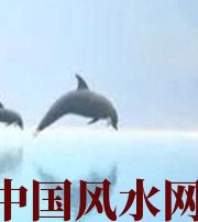 迪庆做梦梦到这些，是要富裕的征兆！